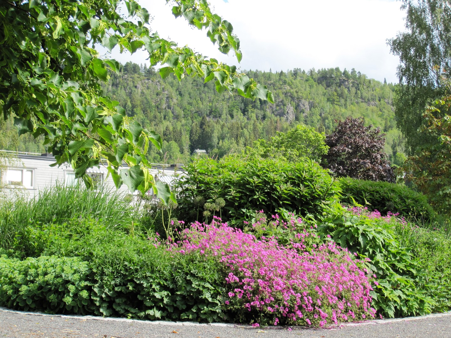 Paneldebatt i årsmøtet 21. mars. Flere boliger?