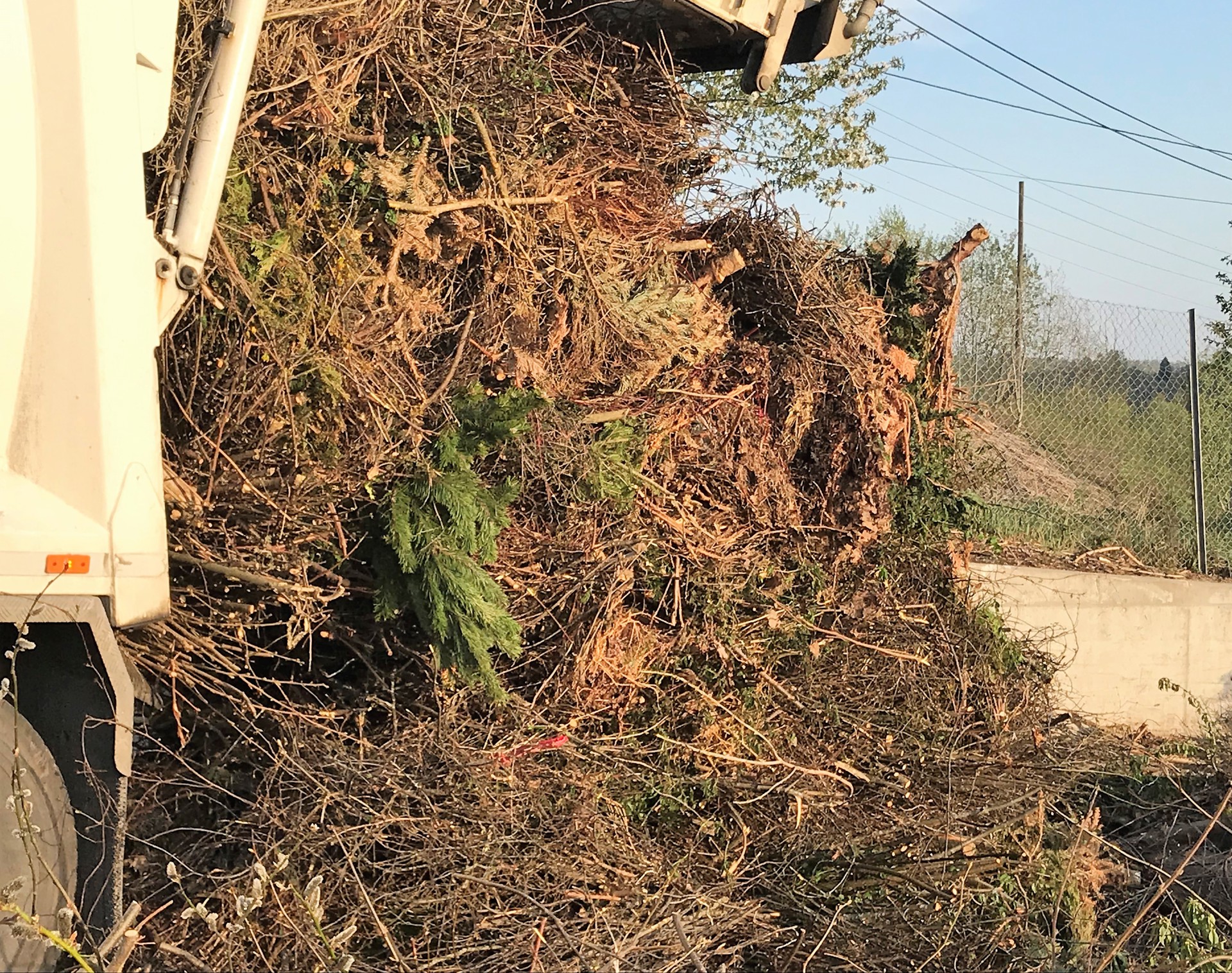 Klart for kvistinnsamling 25. til 27. april