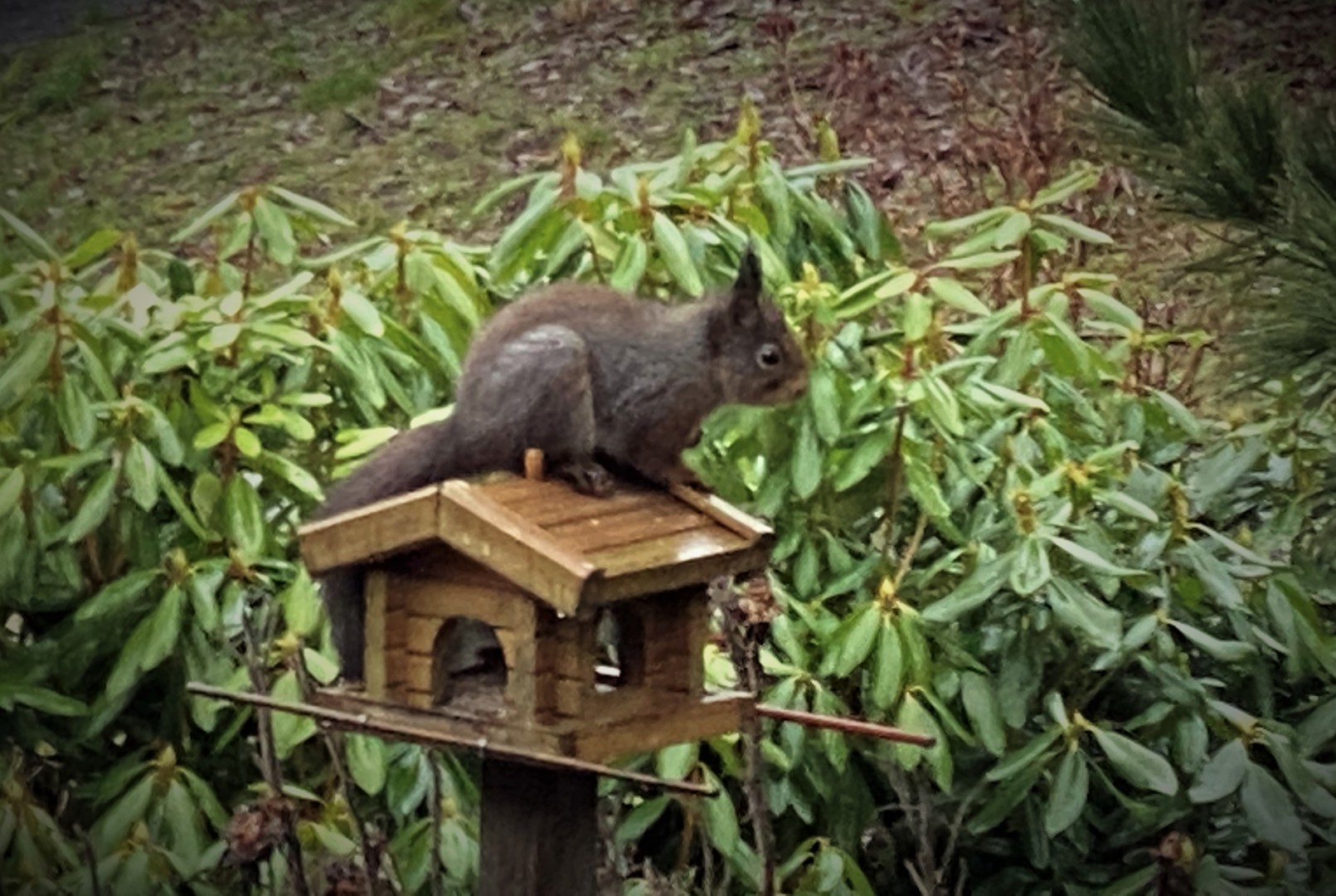 Velavisen desember 2020