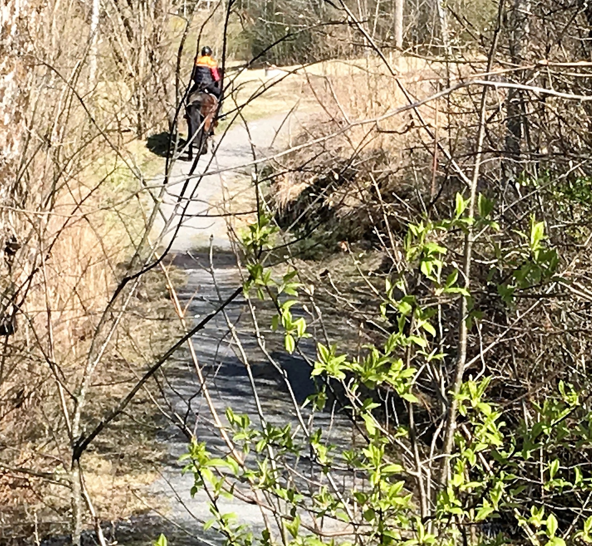 Busoppveien 22 - alle argumenter unntatt ett tapte