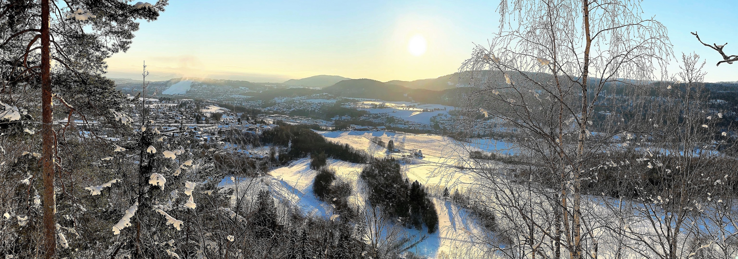 Delta i årsmøtet 2021