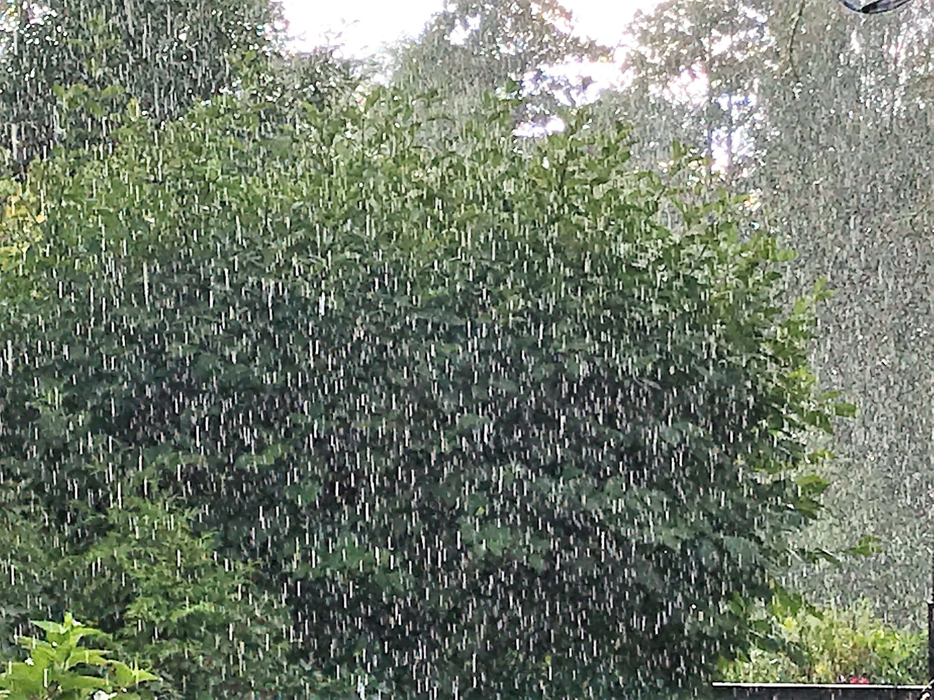 Nå er det tørt. Pass på!