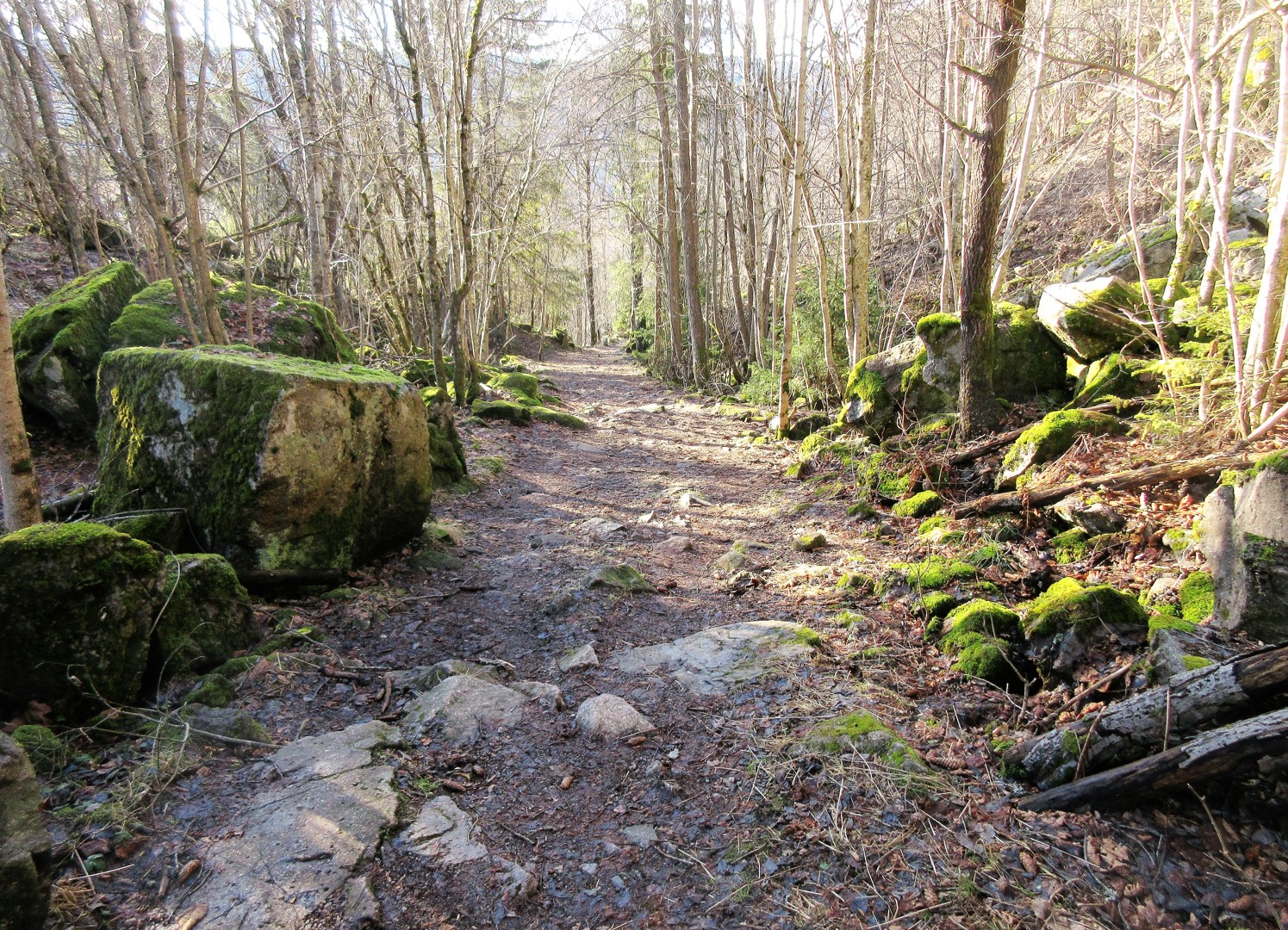 Eineåsen som naturreservat eller friluftsområde