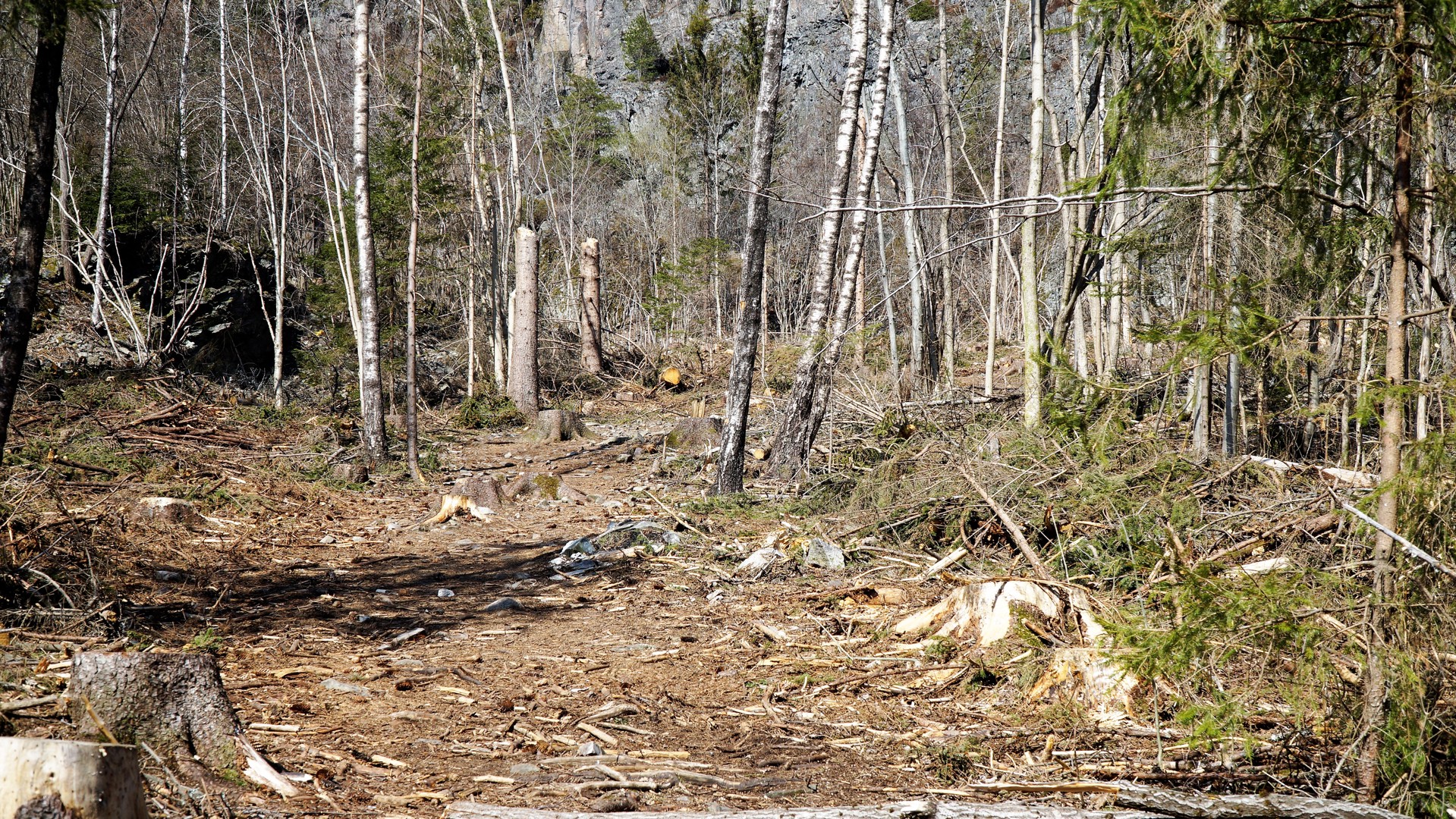 Gommerud friområde - økt tilgjengelighet