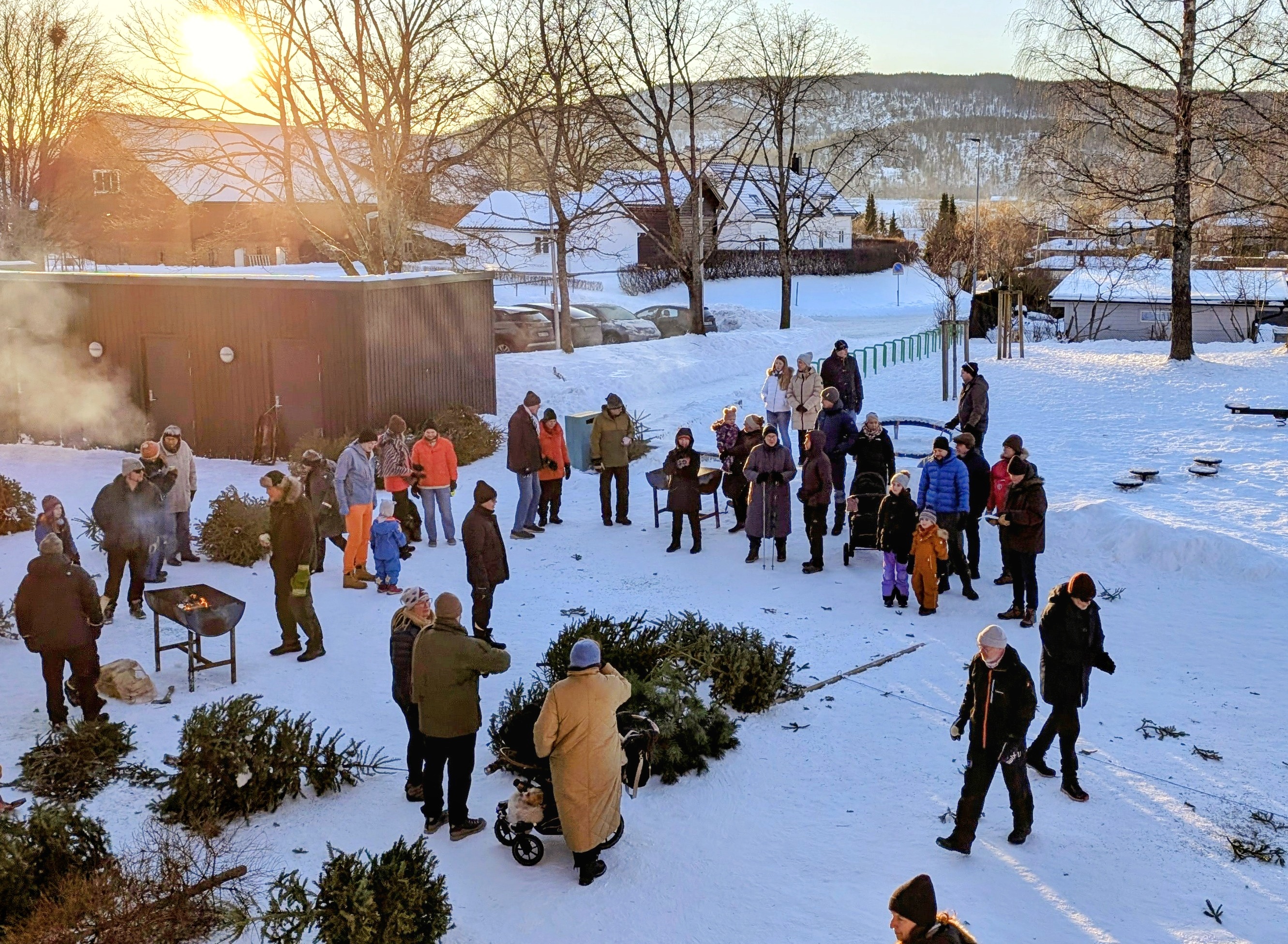 Artikkelbilde til artikkelen Riktig dato for juletrekasting