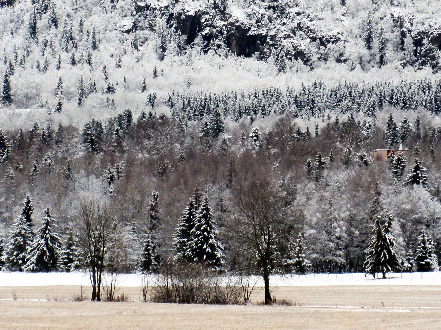 Planer for utbygging av Rykkinn